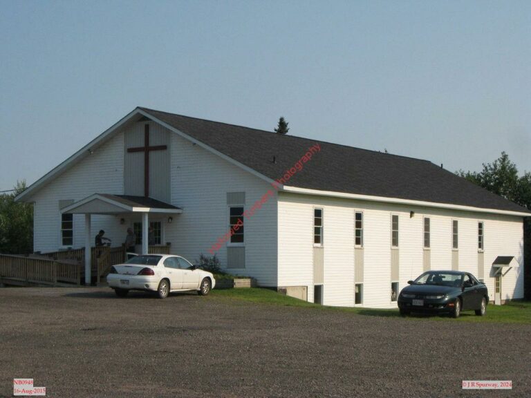 NB-Tracy - PENA - NB0948 NB-Tracy - PENA - NB0948